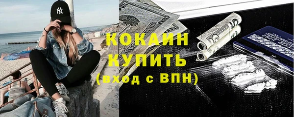 мдпв Карпинск