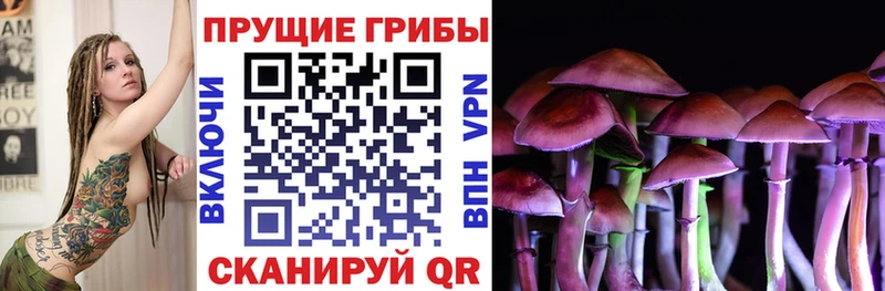 Псилоцибиновые грибы мухоморы  Купить закладки  Кстово 